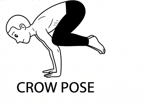 Visual sketch of Crow Pose (Bakasana)